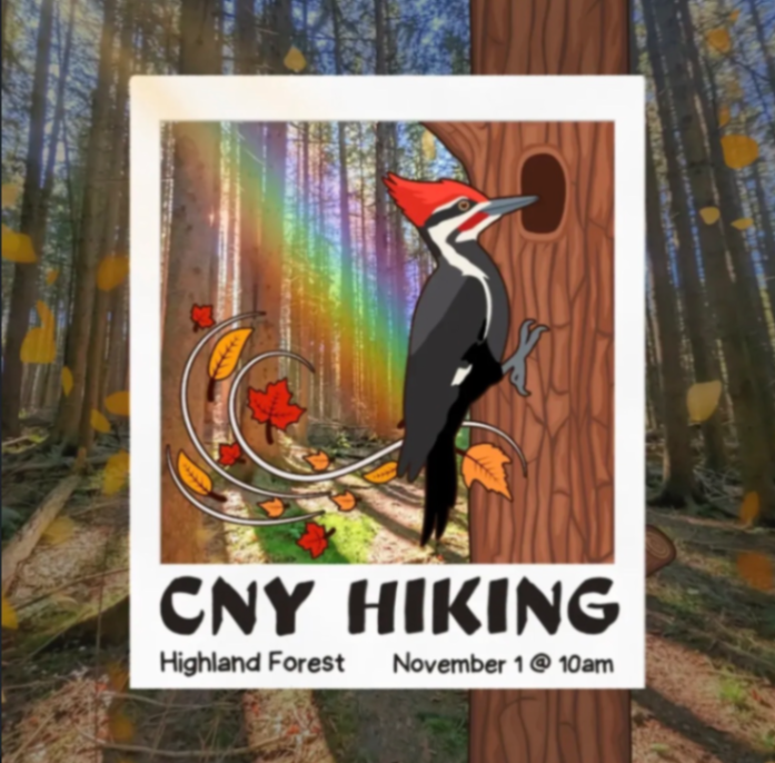 CNY Hiking: Highland Forest