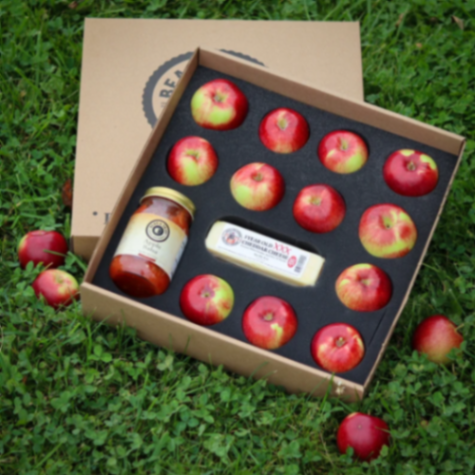 Beak & Skiff Apple Orchards